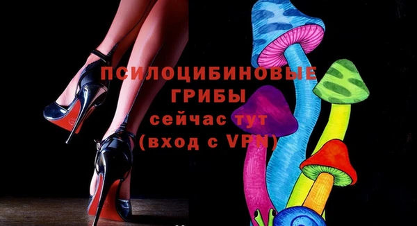 героин Алексин