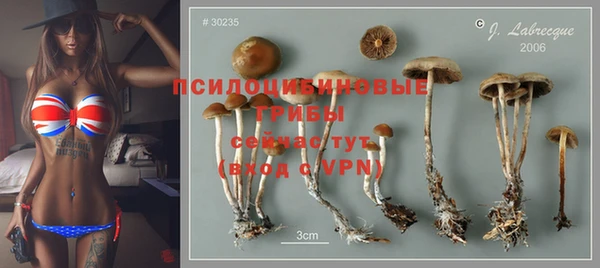 героин Алексин