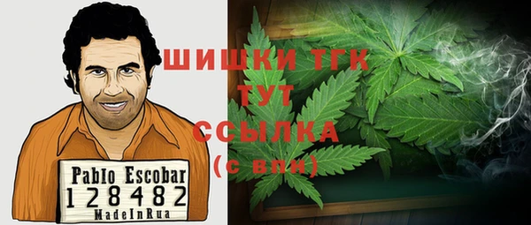 стаф Алексеевка