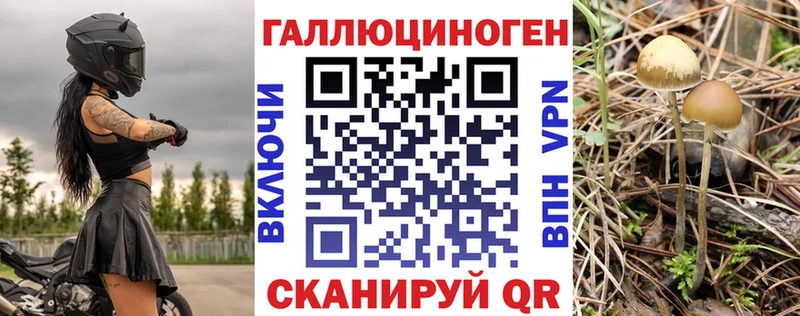 Галлюциногенные грибы ЛСД  Северская 